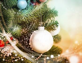 Christmas Tree and Holiday Decorations - Summit Home Services